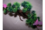 Pc.Pine Tree